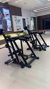 Machine d'extension dorsale à charge libre de qualité professionnelle pour le bas du dos, les fessiers et les ischio-jambiers, modèle LD07 pour salle de sport - Product Image 4