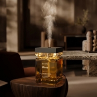 Diffuseur d'arômes intelligent en verre grande capacité avec éclairage d'ambiance, sans flamme, pour huiles essentielles, décoration de chambre