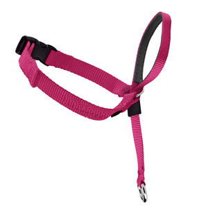 Muestra gratis <span class=keywords><strong>Collar</strong></span> de perro sin tirar para caminar <span class=keywords><strong>collar</strong></span> de perro hecho a mano cabeza líder cabeza <span class=keywords><strong>Collar</strong></span> suave líder - Product Image 2