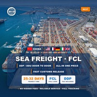 Express-Less-Container-Ladung Frachtagent B2C-Lieferung von Shenzhen nach Österreich, Schweiz, Mexiko, Polen, Indonesien, Indien