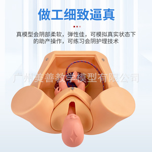 Modèle de formation complète aux compétences d'accouchement avancées, Modèle d'accouchement, Modèle fœtal, Formation complète aux compétences d'accouchement - Product Image 2