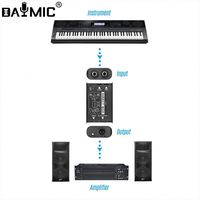 Convertisseur Audio professionnel 1 2 canaux boîte directe passive boîte DI avec faible bruit pour studio de spectacle de basse de guitare