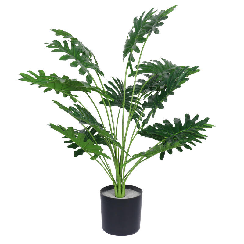 Nouveau heilingyu de haute qualité en pot 70cm