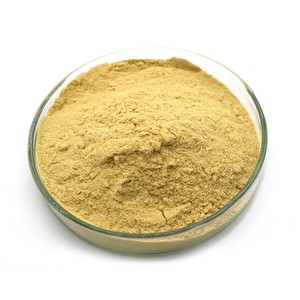 Hữu cơ chiết xuất thảo dược nhân sâm gốc bột hữu cơ tự nhiên ginsenosides với thành phần hoạt chất saponin - Product Image 6