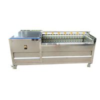 Automatische Bladgroente Knoflook Aardappel Schoonmaken Ui Palmdata Leveranciers Fruit Wasmachine Borstel Type Tomatenwasmachine Wasmachine