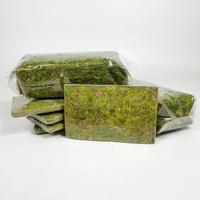 Fournitures de jardin séchées de mousse verte personnalisées OEM Muschio Sphaigne préservée naturelle Vente en gros de mousse séchée