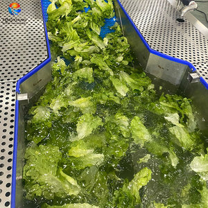 Lavadora de Vórtice Suave de 2000 kg/h para Lechuga, Nueva Lavadora de Vórtice para Verduras de Hoja y Lechuga - Product Image 4