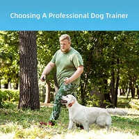 Professionelles Hundetrainingshalsband mit Fernbedienung, 300m Reichweite, IP67 Wasserdicht, Umweltfreundliches Plastik, Wiederaufladbares Trainingsgerät für