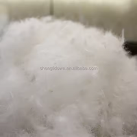 Vente en gros duvet de canard blanc en plumes d'oie veste bon marché rembourrée en duvet pour couettes oreillers coussins