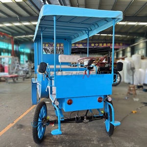 Chariot Électrique Romantique de Cendrillon pour Jardin, Fleur, Cheval, et Résidence – Véhicule Touristique Essentiel et Charmant pour un Tour en Voiture de Contes de Fées - Product Image 3