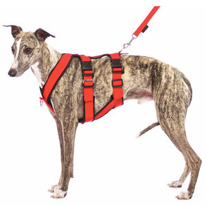 犬用胸ボディベルトグレイハウンドハーネスパディング付きプロメーカー調整可能 - Product Image 5