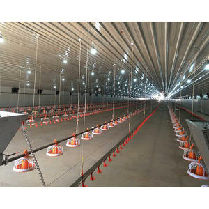 מבנה פלדה מודרני בניין בית עוף בעיצוב מסורתי בית עוף לחווה בטיחות יציבות בחוות עופות - Product Image 5