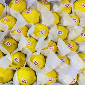 Trung Quốc Chất lượng cao Juicy chua chanh - Product Image 3