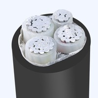 Câble Électrique Souterrain 0.6/1kV 16/25/35/50 mm² XLPE Isolé PVC 4 Brins en Aluminium/Cuivre pour Bâtiment