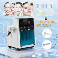 Prix d'usine, machine de microdermabrasion 2 en 1, machine de rajeunissement de la peau, machine faciale aquatique de bureau, dermabrasion