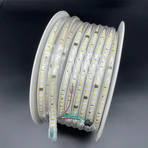 DC 24V Smd2835 108Leds/M Koperdraad Enkele Kleur Water Adresseerbare Programmeerbare Led Smart Strip Licht