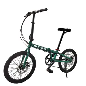 2021 Hot Sale Folding Sport Bike 20 Inch Fnhon Frame Folding Bike Silver Body Foldable Cycle