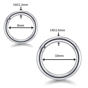 Aro para la Nariz Sin Costuras para Perforaciones Corporales |   Pendientes de Aro para Cartílago con Bisagras de Acero Inoxidable 316L, Anillo para Labio y Anillo para Septum - Product Image 3