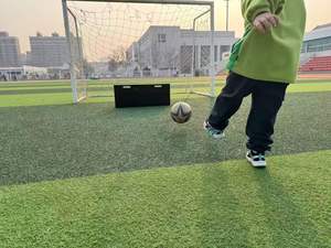 Panneau <span class=keywords><strong>de</strong></span> rebond compact <span class=keywords><strong>pour</strong></span> le football, structure compacte <span class=keywords><strong>pour</strong></span> un rangement facile dans les petits espaces à la maison, au club ou en salle d'entraînement - Product Image 6