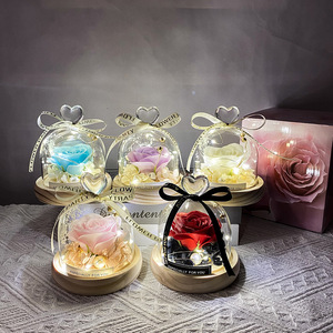 Saint Valentin <span class=keywords><strong>Rose</strong></span> Verre Dôme Fille Coffret Cadeau Lumière LED Fleur Préservée Roses Éternelles Verre Petit Amour Roses Cadeau Fête des Mères - Product Image 4