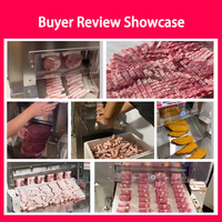 Trancheuse à viande congelée en acier inoxydable Machine utilisée Boeuf Agneau Rouleau Bacon Cutter Mouton Usage domestique Noyau de moteur pour couper la viande en tranches