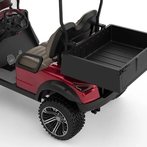 Carrito de Golf Clásico Vintage HKBG de 2 Plazas con Caja de Batería de Litio/Plomo-Ácido de 48V, Velocidad de 30-50 km/h y Autonomía de 50-70 km, Nuevo Diseño 2024 - Product Image 2