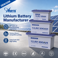 Batterie Lifepo4 à décharge profonde Anern 12V 100Ah 200Ah 300Ah pour stockage d'énergie solaire, batterie lithium-ion Lifepo4