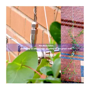 316 Flexible Stainless Steel Wire Cable Rope Mesh Net For Plant Green Climb Wall Plain Style Surface Technique