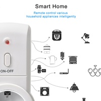 Fournisseur chinois de prises intelligentes pour la maison connectée, conformes aux normes européennes 16A WiFi IP21, pour lumières/lampes/téléviseurs/etc.