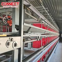 H Type 4 5 Rangée Stand Cage Ferme 50000 Capacité Couche Poule Cage Élevage Volaille Maison Batterie Couche Poulet Cage pour Oiseaux Volaille