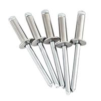 Rivets aveugles à tête ronde DIN 7337 haute durabilité en acier/acier inoxydable pour assemblage de tôles, armoires et véhicules