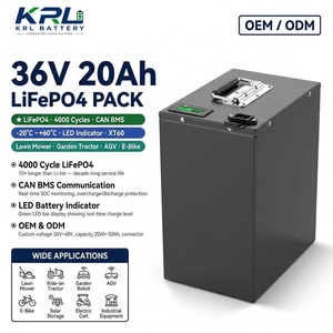 Batterie LiFePO4 20Ah 48V CE RoHS TUV avec BMS CAN et décharge -20C pour tondeuse robotisée, fil de délimitation de robot de jardin, OEM - Product Image 1