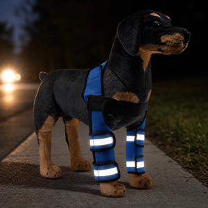 Protector de Patas Delanteras para Perros de Tercera Generación <span class=keywords><strong>con</strong></span> Franja Reflectante, Neopreno y Soporte Metálico para Rodilla y Codo, para Artritis, Fracturas y LCA - Product Image 2