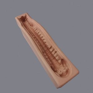KyrenMed-Soporte Cervical <span class=keywords><strong>Posterior</strong></span> para Columna Vertebral, Base de Modelo de Hueso de <span class=keywords><strong>Esqueleto</strong></span> Humano, con Diseño de Base, de Modelo de <span class=keywords><strong>Esqueleto</strong></span> Humano, con Diseño A LA Moda, para el Hogar, con Diseño de Cuello, a la Moda - Product Image 5