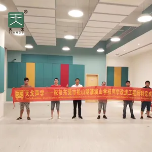 TianGe Factory Easy Fix And Anti-fire Cotton Material Acrostic 织物面板折叠声学墙面板用于会议室