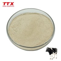 Additif Microbien Probiotique pour Aliments Avicoles Bacillus Subtilis Poudre de Qualité Alimentaire pour Animaux 20-200 Milliards d'Activités