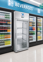 Vitrine Réfrigérée Commerciale Verticale en Acier Inoxydable à Refroidissement par Air Sans Givre pour Fruits et Légumes, à Montage Supérieur, pour Magasin