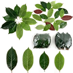 Feuilles de Magnolia Artificielles Guanyi en Soie Douce, Décoration Végétale Verte, Accessoires de Noël et de Mariage, Décoration Intérieure, Accessoires de Photographie - Product Image 1