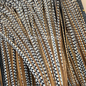 Plumes de queue de faisan naturelles Reeves Venery, 140 cm de long, pour usage décoratif, mariages, artisanat, costumes, fêtes, carnaval, haute qualité - Product Image 2