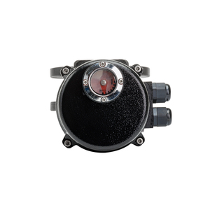 Lq0 220vac 50nm Bola de retenue à bride fine IP67/IP68, personnalisable OEM, avec support, certifiée CE/SIL - Product Image 6