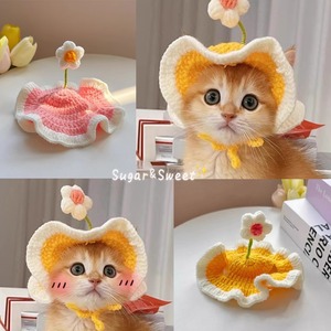Chapeau pour chat de compagnie, bandeau tricoté à la main avec fleurs, printemps-automne, pour chat britannique à poils courts, décorations en fil doux - Product Image 1