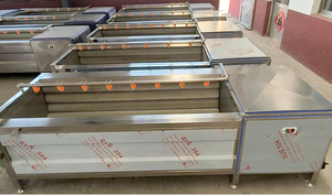 Machine de lavage et de pelage pour racines et tiges, fruits et légumes, machine à polir les carottes à brosse souple, équipement de pelage de pommes de terre - Product Image 6