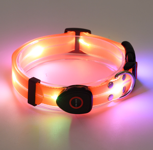 Kerah anjing menyala, isi ulang daya USB, kerah keamanan LED tahan air untuk berjalan malam dapat disesuaikan untuk anjing kecil sedang besar - Product Image 2
