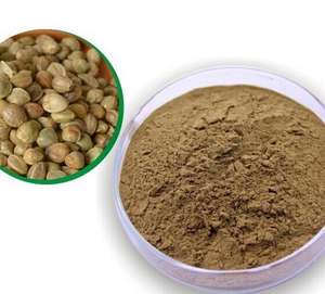 טהור טבע קנבוס תמצית זרעי קנבוס חלבון אבקה - Product Image 2