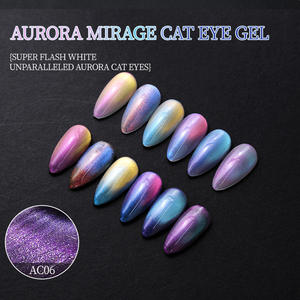 OEM/ODM <span class=keywords><strong>RONDIE</strong></span> Vernis gel UV magnétique longue durée oeil de chat avec LED durcissant perles de verre arc-en-ciel en bouteille pour Nail Art - Product Image 2