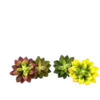 Plante succulente artificielle en plastique, décoration florale, aspect naturel hautement réaliste pour la maison, le bureau, la décoration murale de Noël