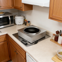 Cuisinière à induction intégrée pour Hot Pot et Barbecue, avec plaque concave