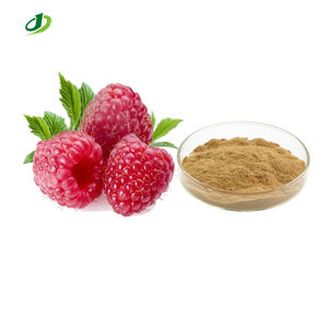 라즈베리 추출물 루버스 아이데우스 추출물 라즈베리 케톤 20% UV - Product Image 1