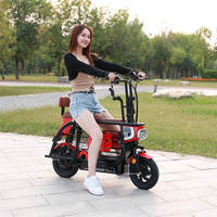 Vélo Électrique Monoplace D1 Little Dudu de Haute Qualité pour Animaux de Compagnie, Scooter pour Chiens de Petite/Moyenne Taille, 38kg, 48V, Cadre en Acier, Moteur Arrière 400W