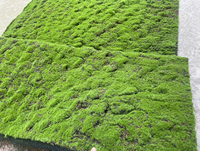 Tapis de mousse artificielle vert mousseux, texture en grumeaux, pour fond de terrarium de plantes succulentes, décoration murale, couverture de bonsaï